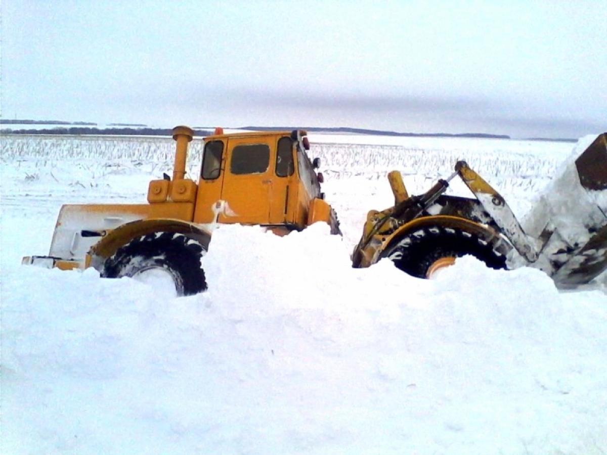 «Пар ослов» - депутатам Саратовской облдумы: «А, может, только за уборку снега платить?»