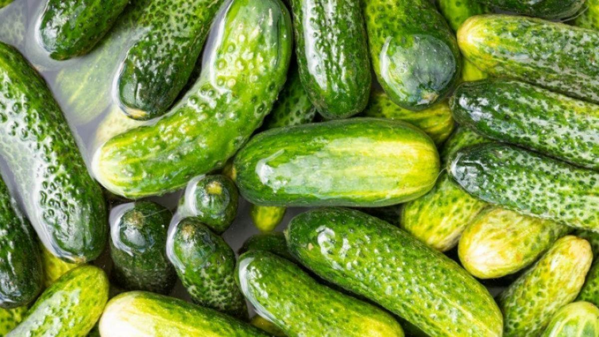 Саратовстат: цены на огурцы в регионе резко подскочили