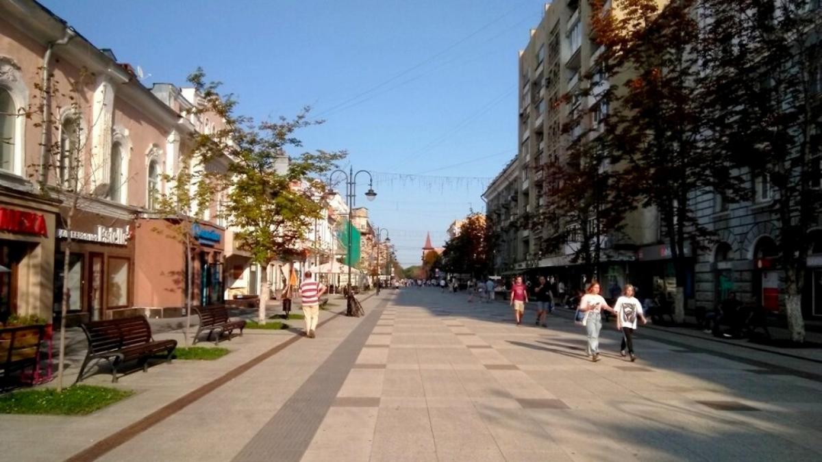 В Саратове на проспекте Столыпина обнаружили питона: и.п. главы города сделала заявление