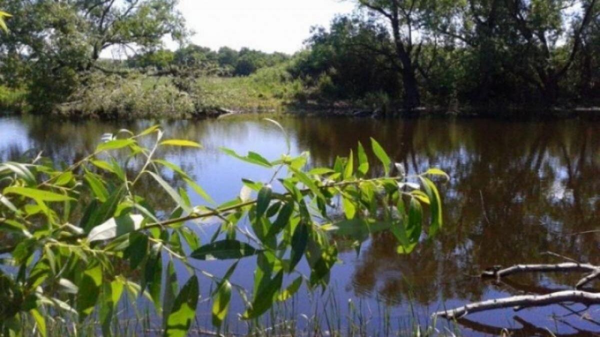 На утесе Степана Разина прошла ярмарка саратовских товаров