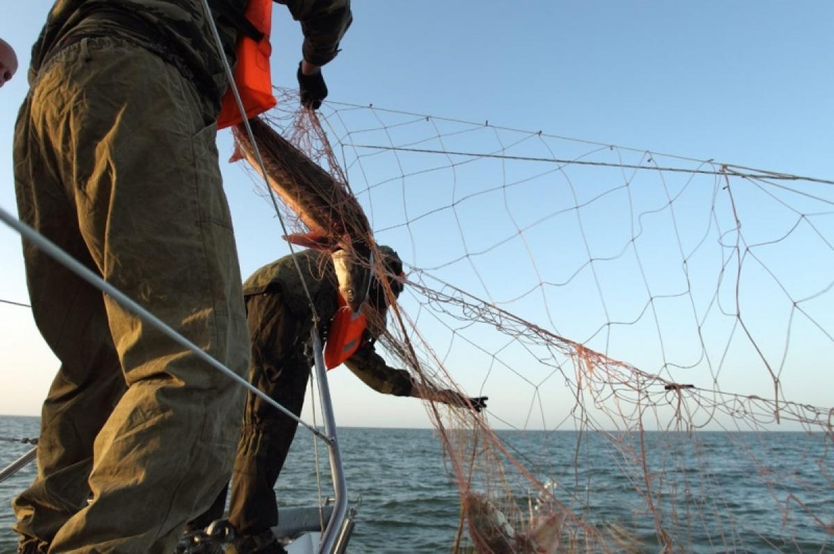 Росрыболовство объявило о новых правилах рыбалки