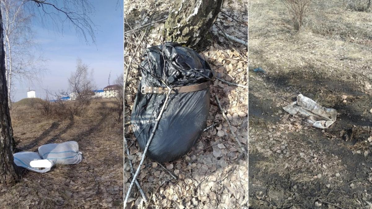 На Кумысной поляне саратовцы нашли мешки с мертвыми собаками