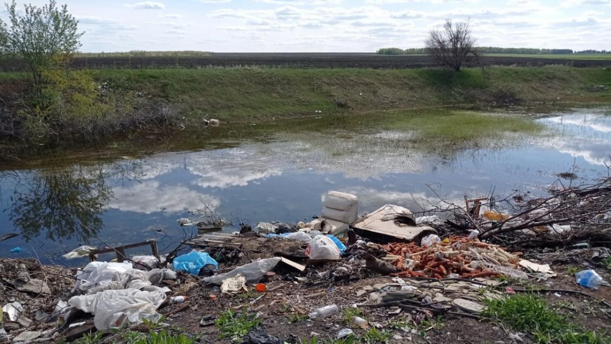 Саратовских чиновников будут наказывать за несвоевременный вывоз мусора