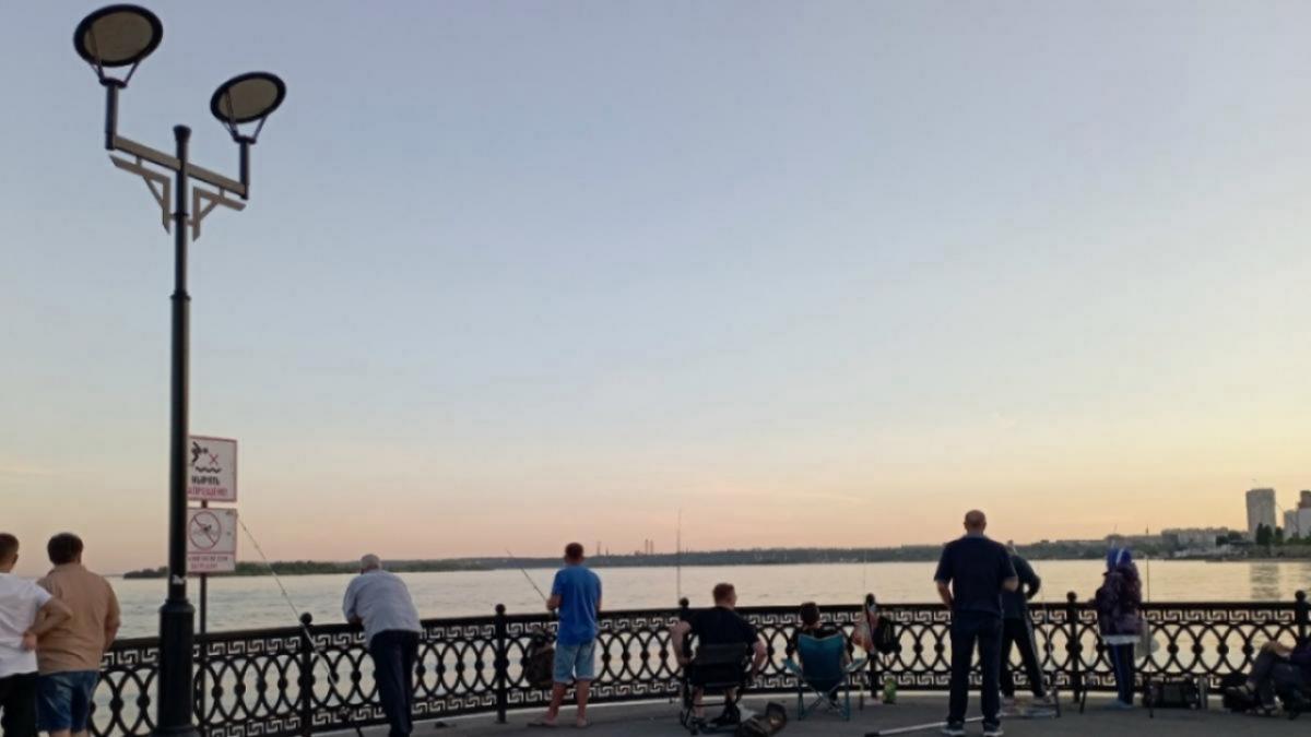 Сезон лещей на Волге: саратовские рыбаки ловят и бережно отпускают свою добычу