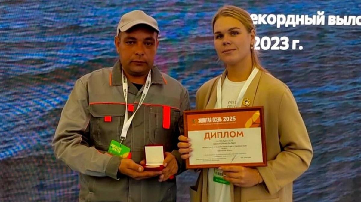 Саратовский конезавод получил золото на всероссийской выставке