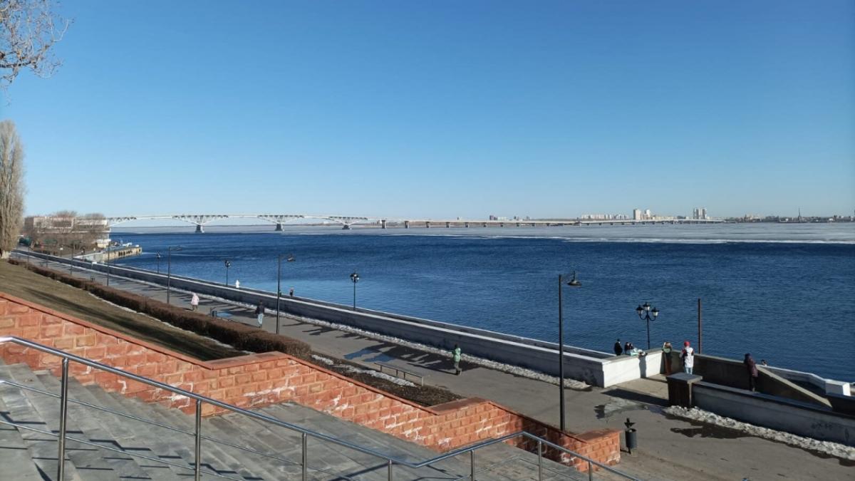 В УФНС рассказали саратовцам о пониженном тарифе страховых взносов для МСП