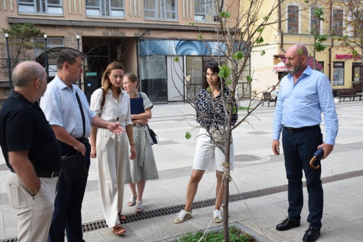 Не пережили стресса: на проспекте Кирова в Саратове вместо погибших деревьев посадят другие