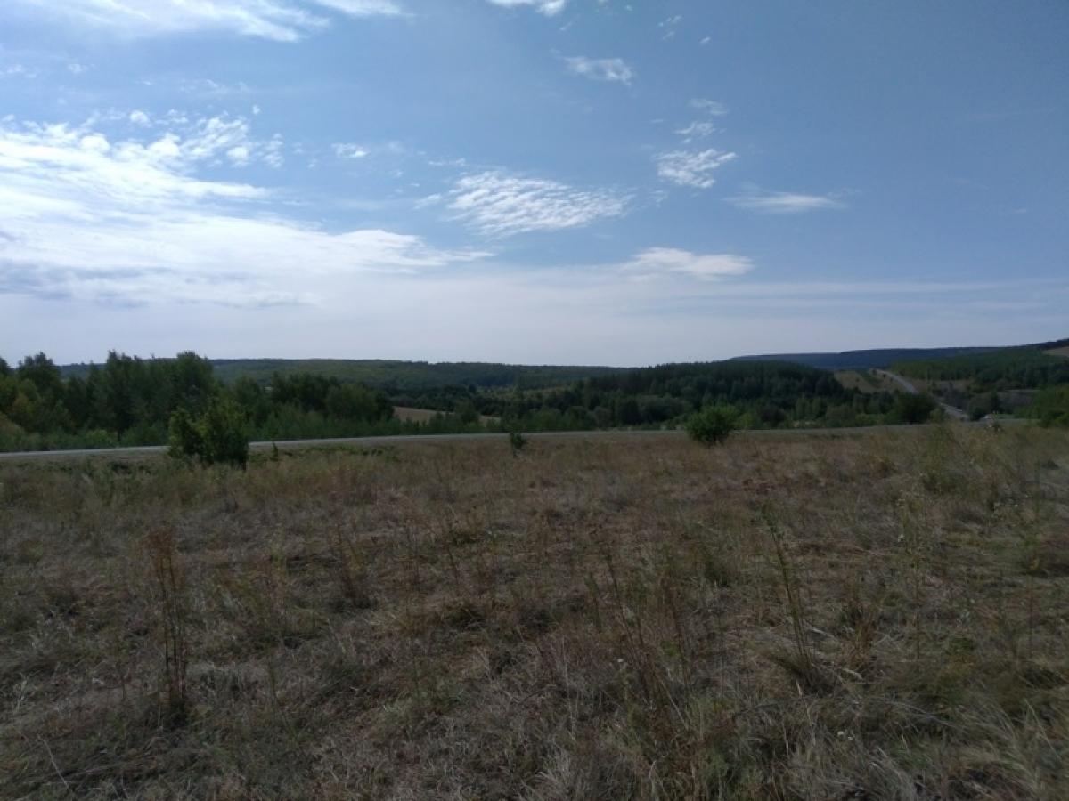 Насильника 11-летней школьницы оперативно поймали благодаря бдительности ее товарища