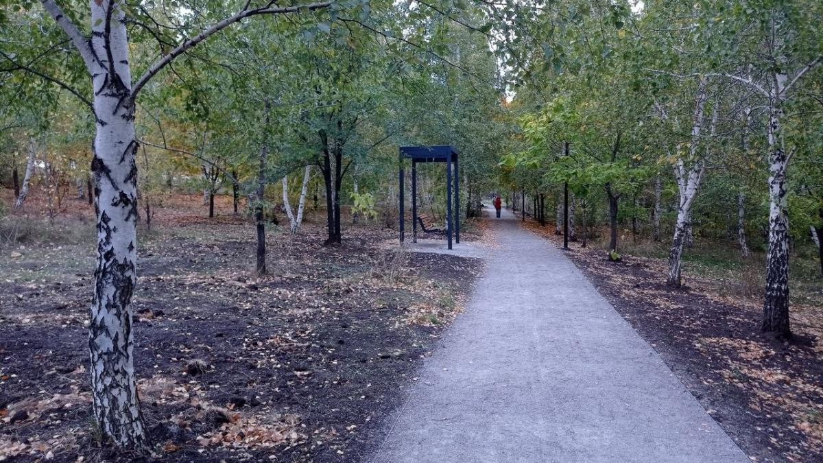 В саратовском Парке Свободы у памятника корсаку жители встретили лисицу