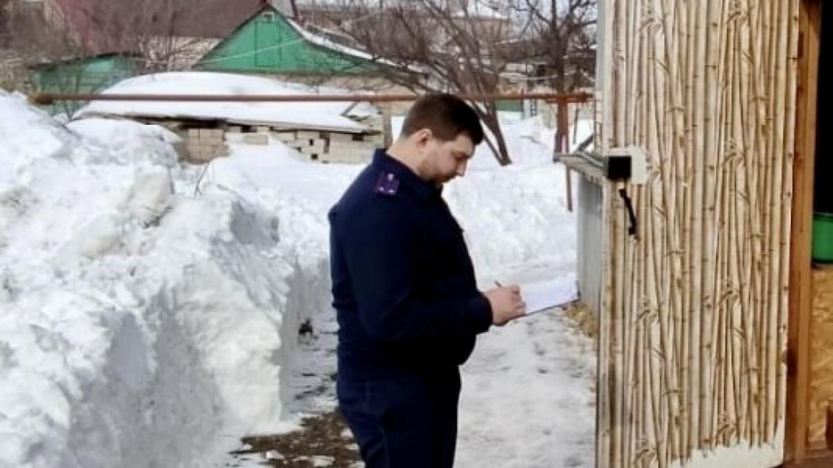 В Энгельсе будут судить местного жителя за убийство знакомой