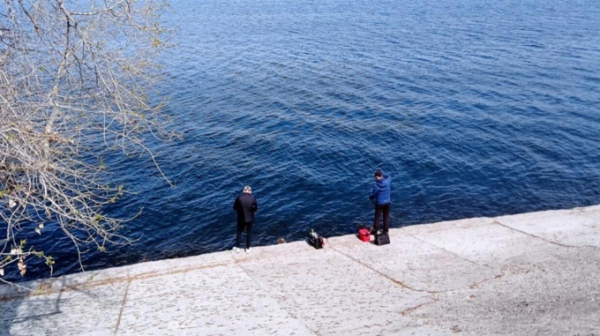 Саратовские рыбаки наловили волжских гигантов и выложили фото