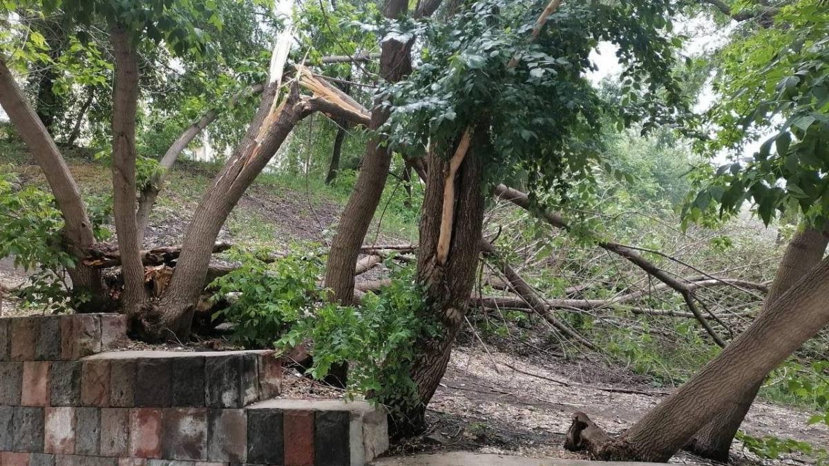 На набережной Саратова ураганом повалены деревья и разрушены лестницы