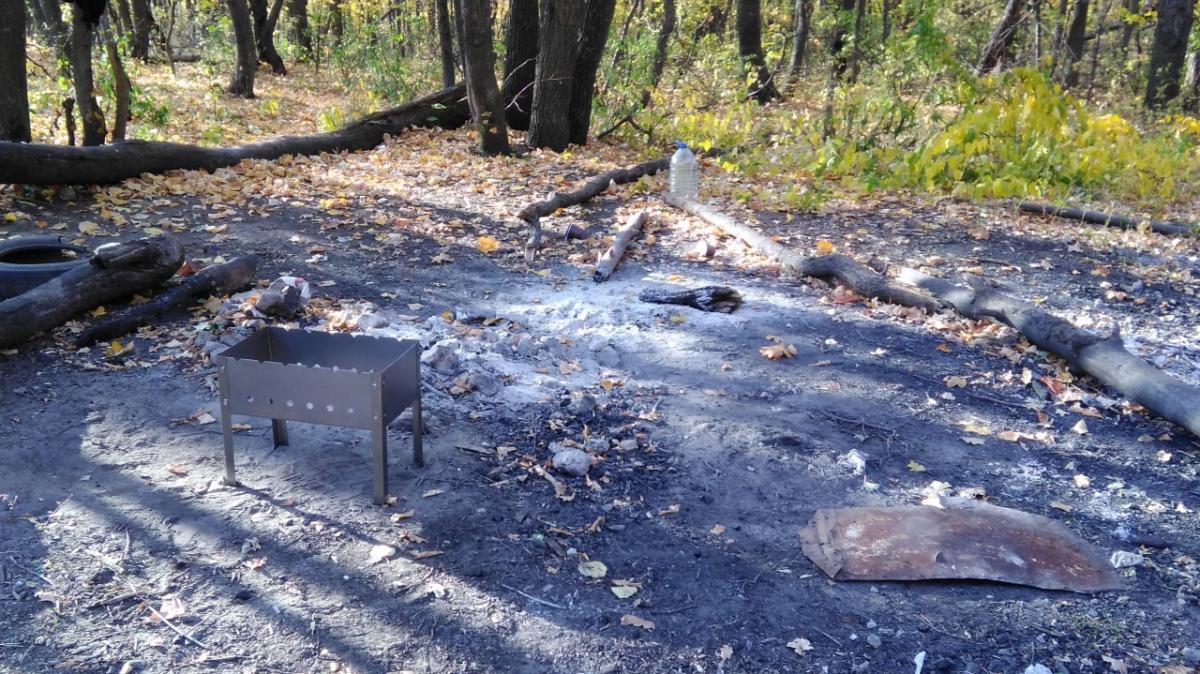 Саратовская область оказалась в числе лидеров по тушению лесных пожаров