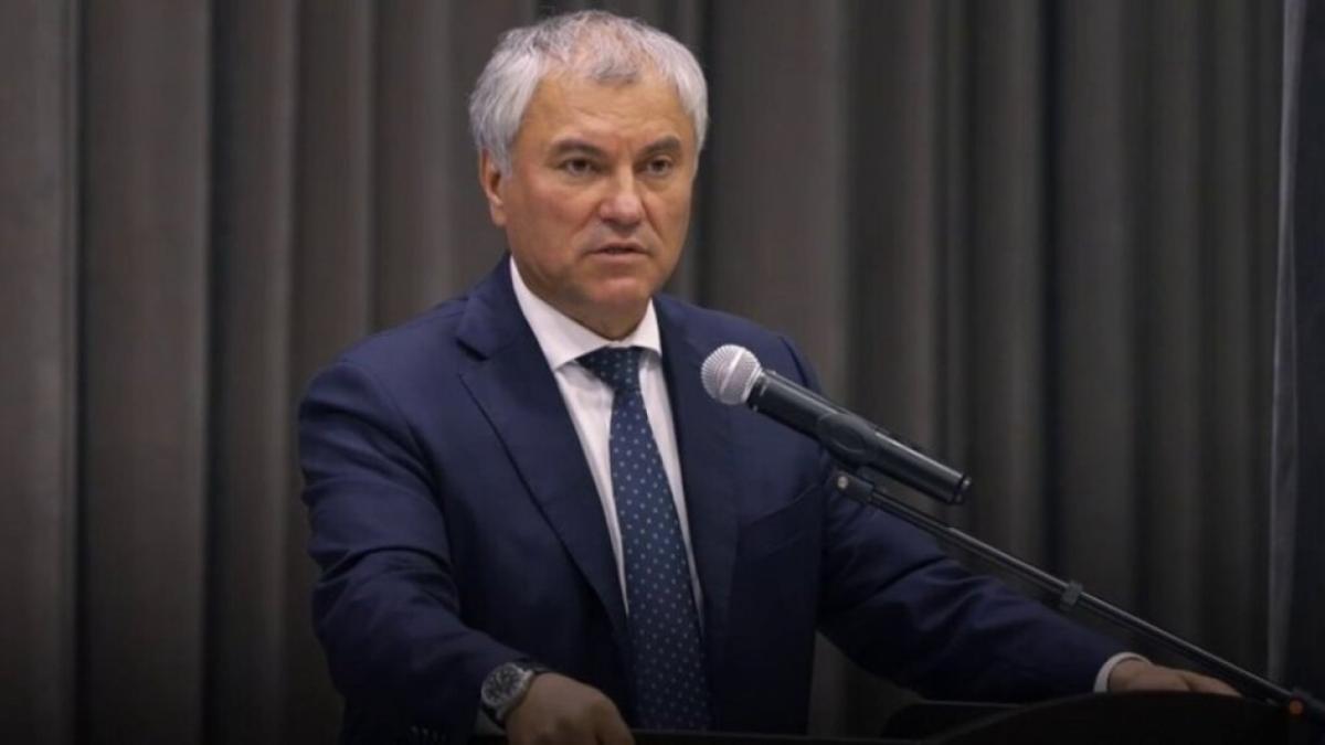 Володин назвал меры для сохранения саратовских ЦРБ
