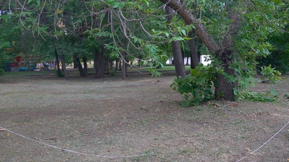 Назван план благоустройства сквера «Территория детства» в Саратове