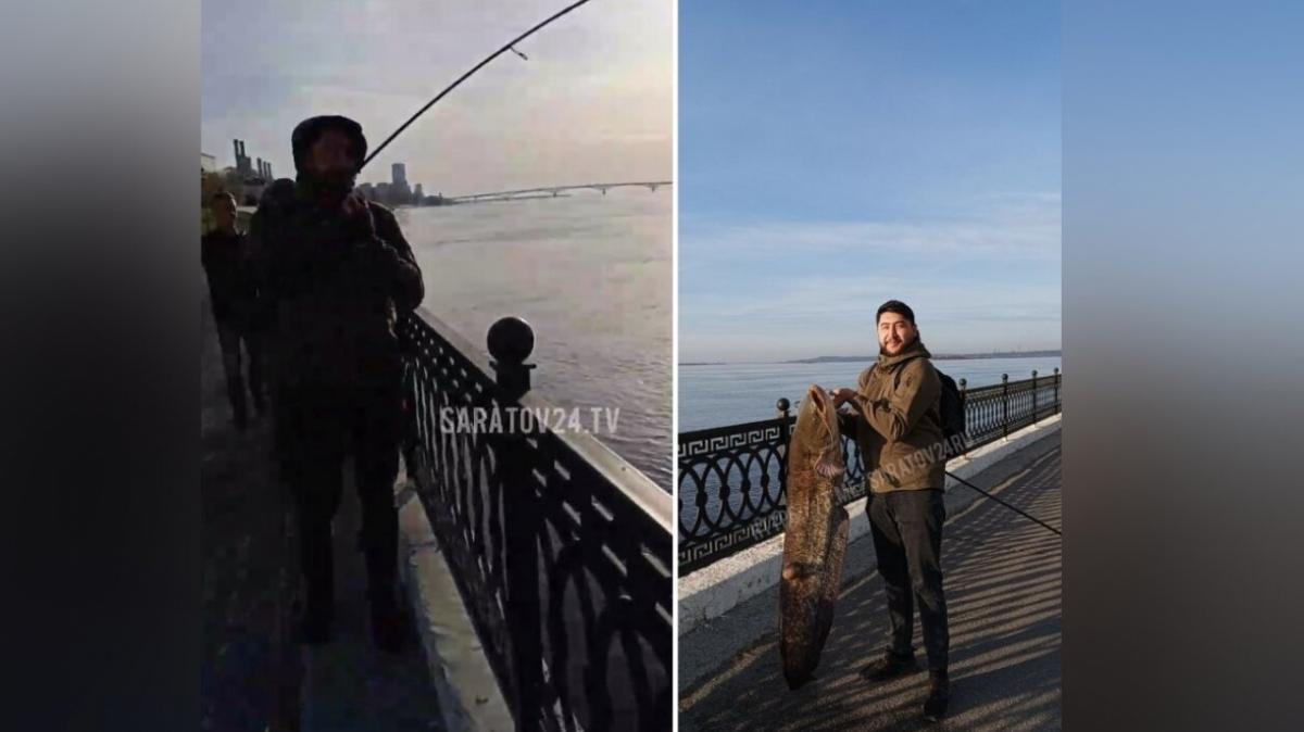 В Саратове на набережной рыбак поймал 20-килограммового сома и отпустил его