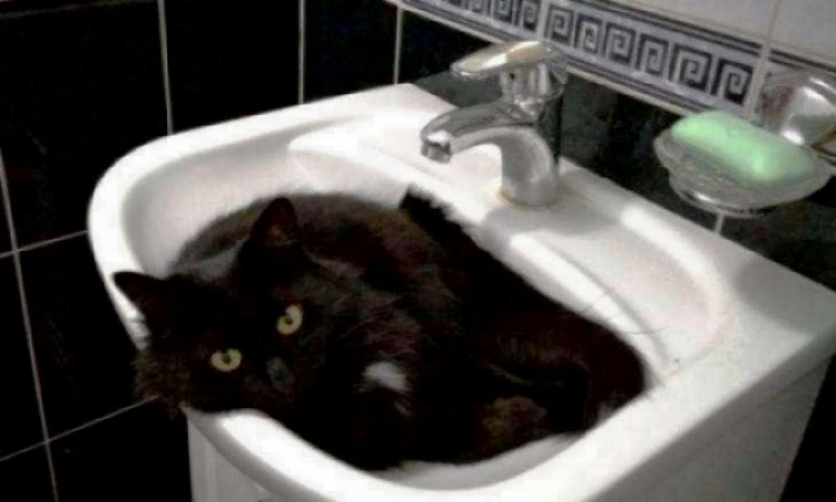 Жителям двух районов Саратова отключили горячую воду
