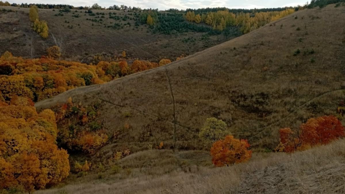 В Саратовской области выдано более 20 тысяч разрешений на отстрел животных