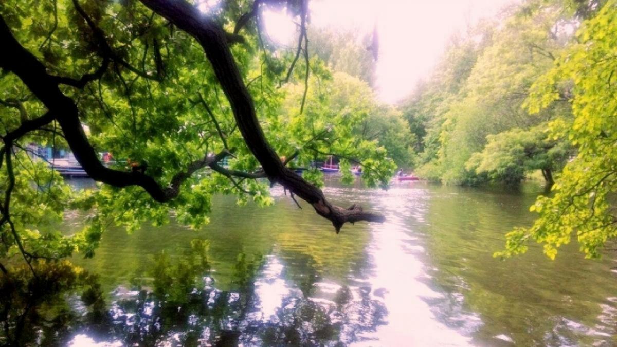 После гибели девочки в горпарке Саратова завели уголовное дело