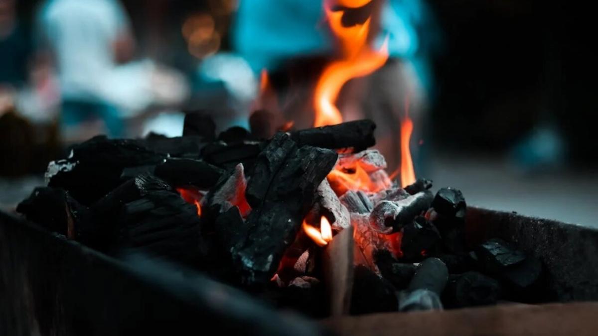 Под Саратовом за 5 млн отдают бизнес по производству древесного угля