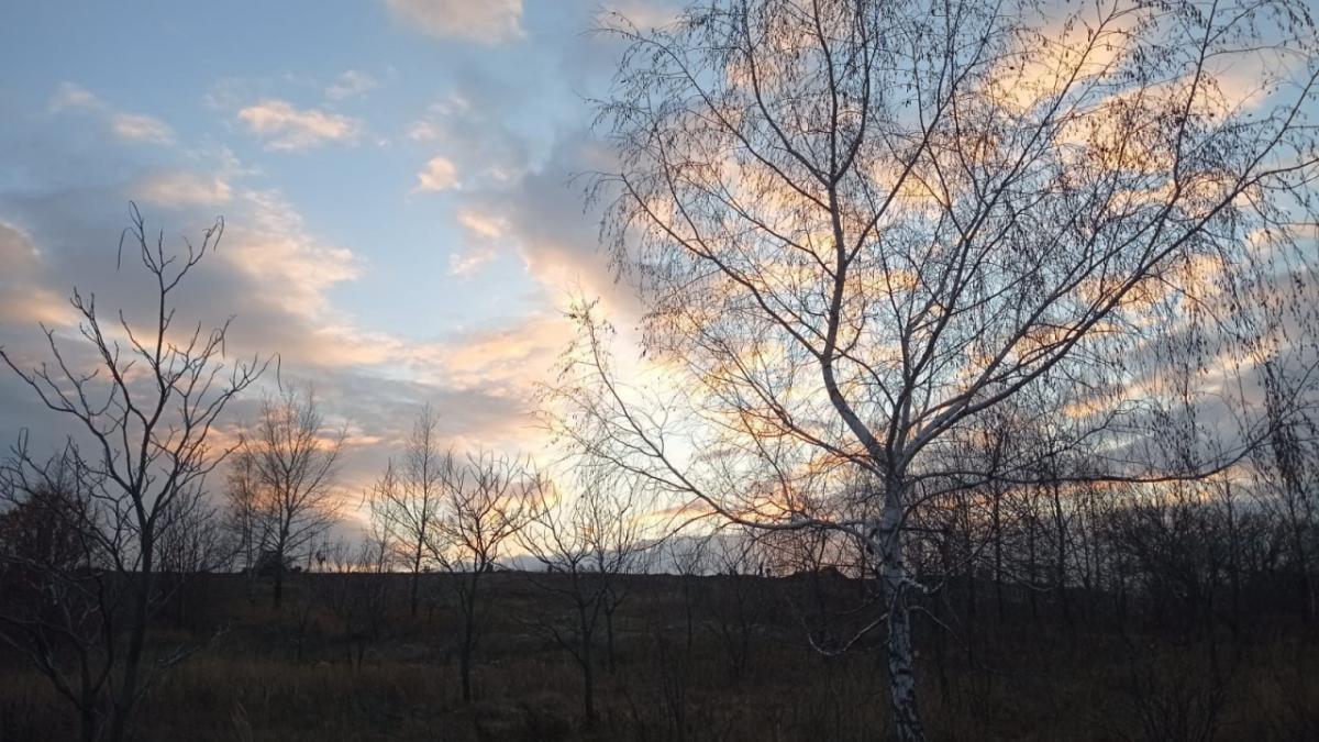 Атака БПЛА: саратовцев просят выключить свет и отойти подальше от окон