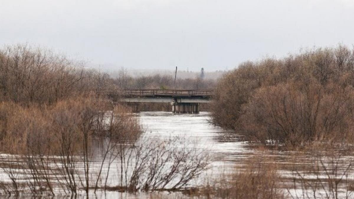 В Саратовской области 16 мостов затоплены из-за паводка на 6 апреля