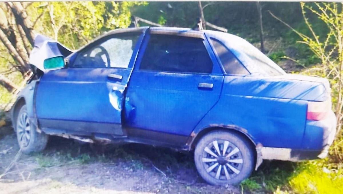 В Пугачевском районе отечественное авто в поле протаранило дерево