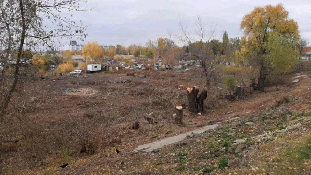 Что произошло на набережной Энгельса: позиция жителей и чиновников