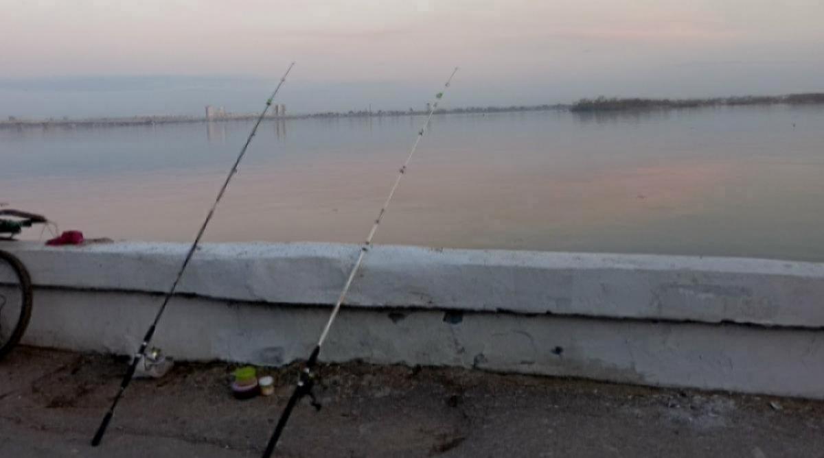 Саратовец наловил полный садок крупной рыбы на городской набережной