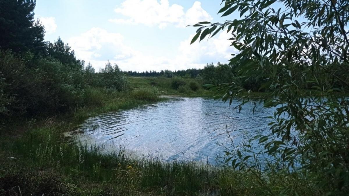 В саратовском заказнике рейд выявил угрозу редким животным из-за костра туристов