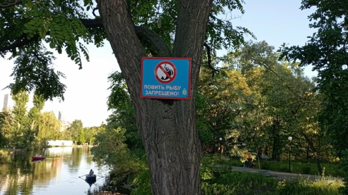 В Саратове благоустраивают Горпарк: мэр рассказал, что изменится к 31 августа