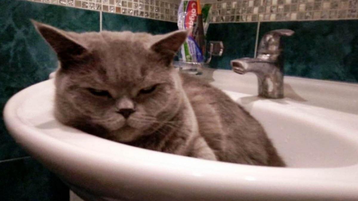 В Балаково отключат горячую воду – сообщаем адреса