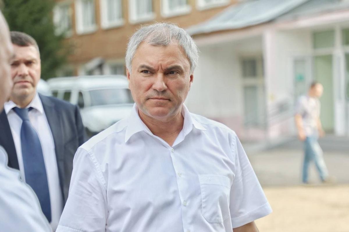 «Создали кормушку, от этого жители пострадали»: Володин о состоянии здравоохранения в Петровском районе