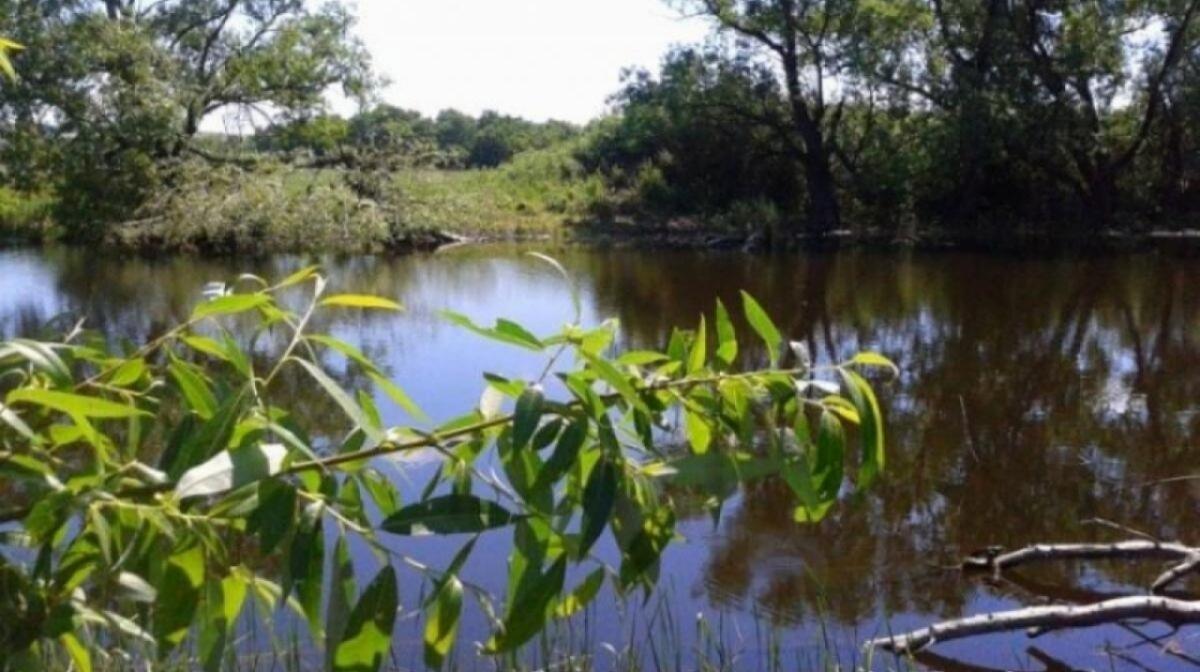 Под Саратовом за 30 млн продают базу отдыха на берегу Большого Иргиза