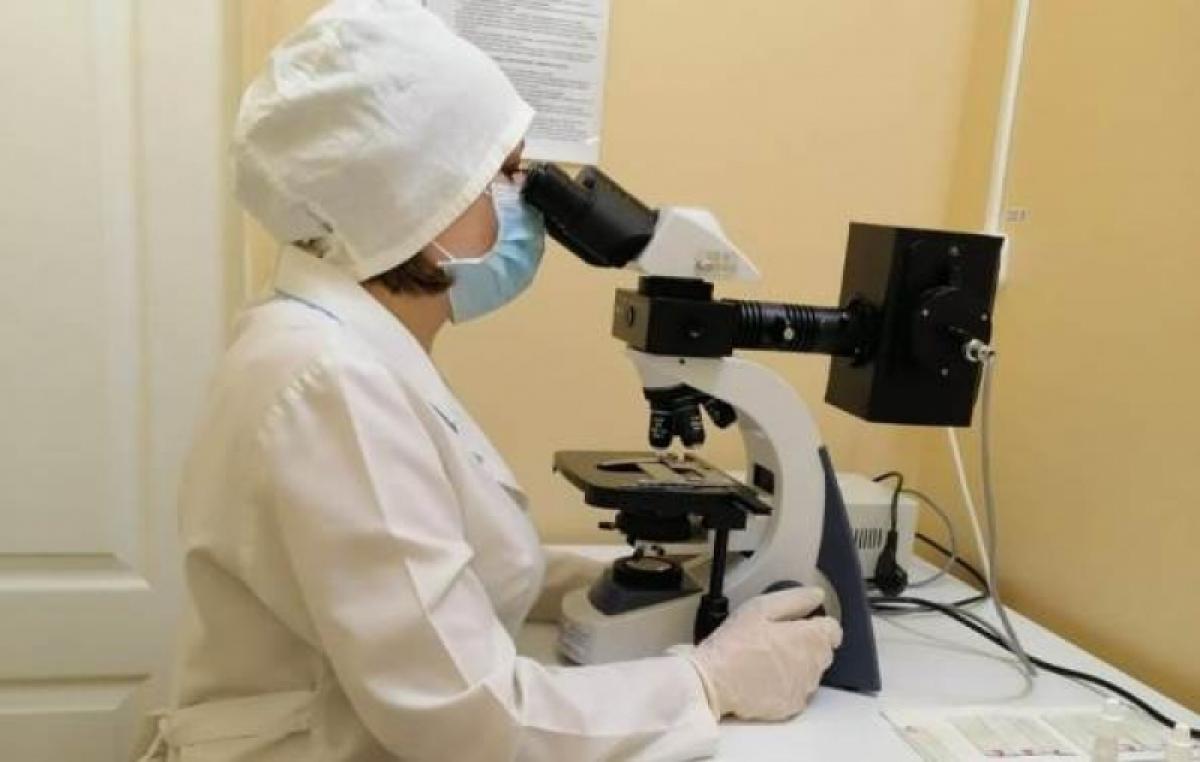 58 больных бешенством животных выявлено в Саратовской области с начала года