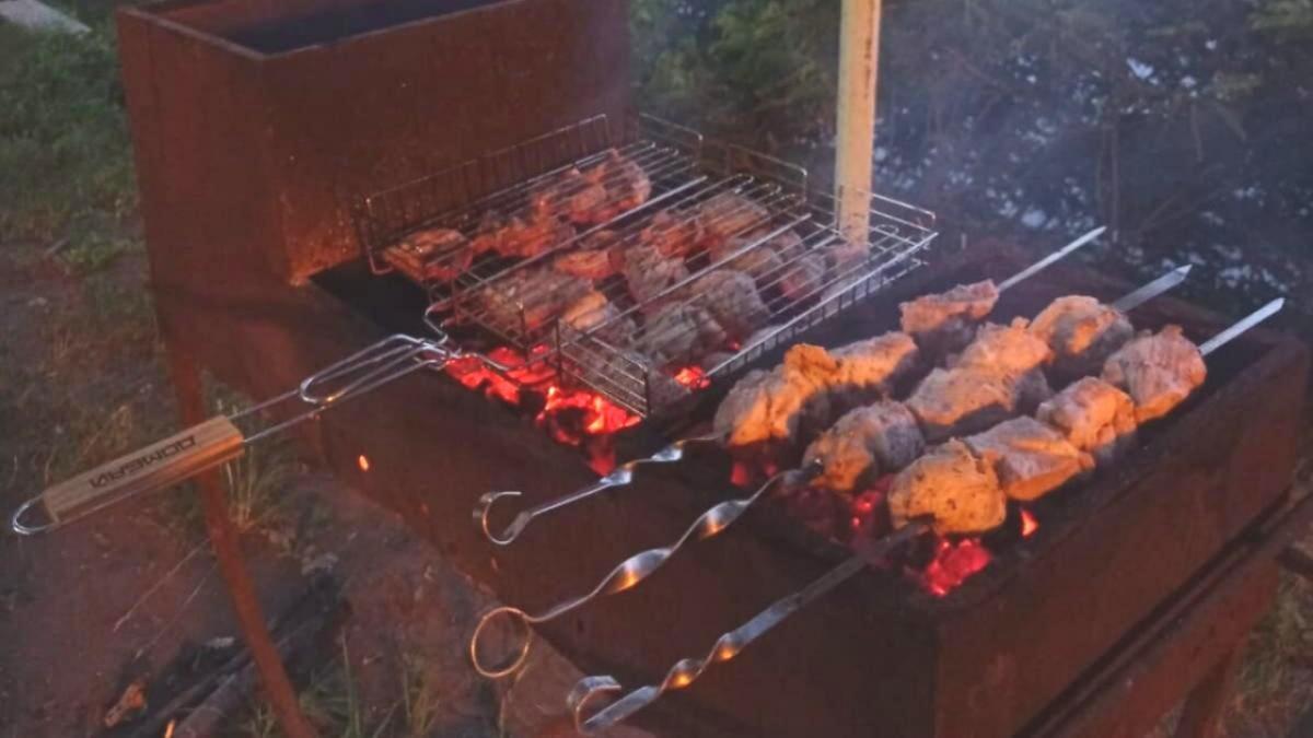 Жителям Энгельса запретили жарить шашлыки на мангалах