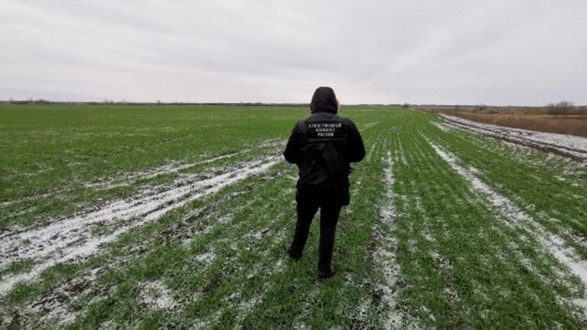 Под Саратовом прекращены поиски женщины, пропавшей в лесу 2 дня назад