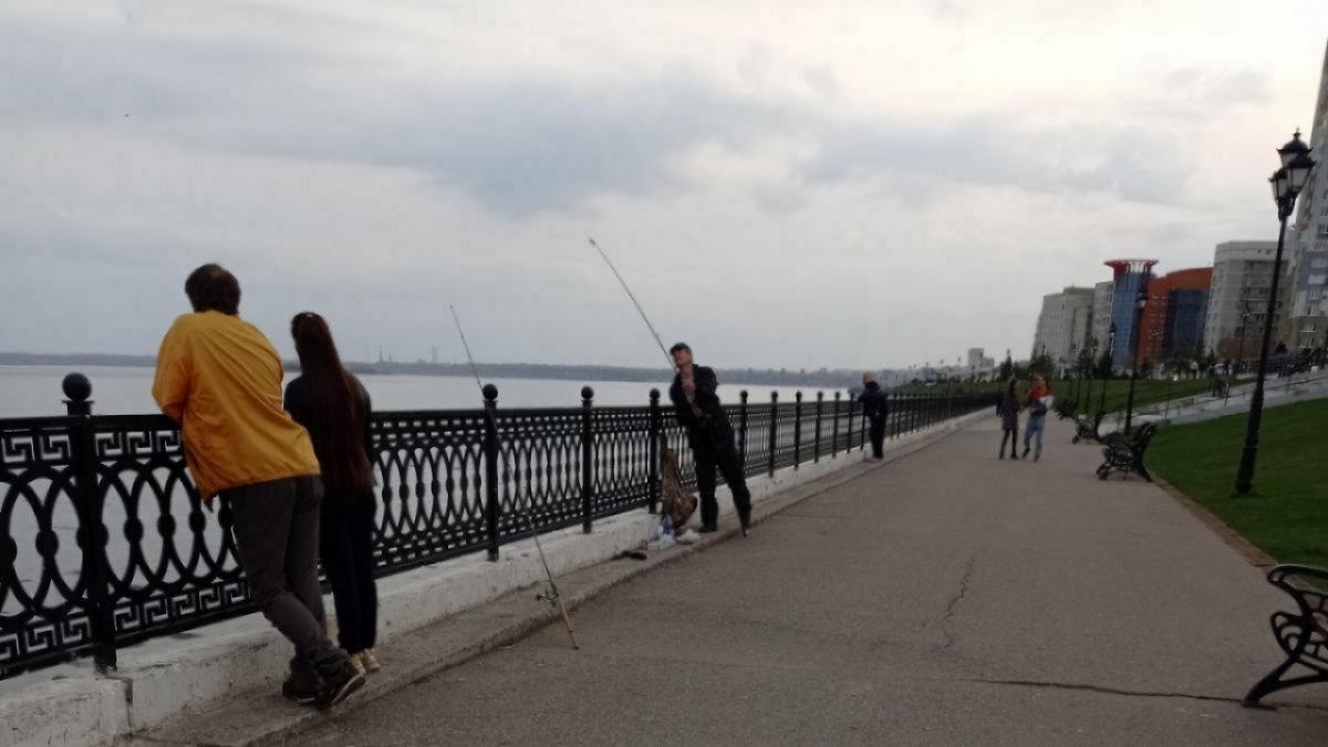 Саратовский рыбак поймал в Волге сома-гиганта на 65 килограммов