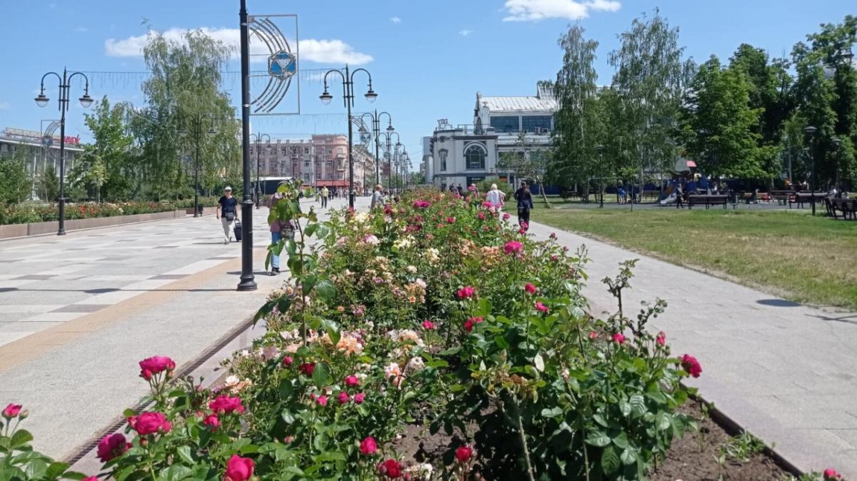 Президент РФ Владимир Путин наградил шестерых жителей Саратовской области