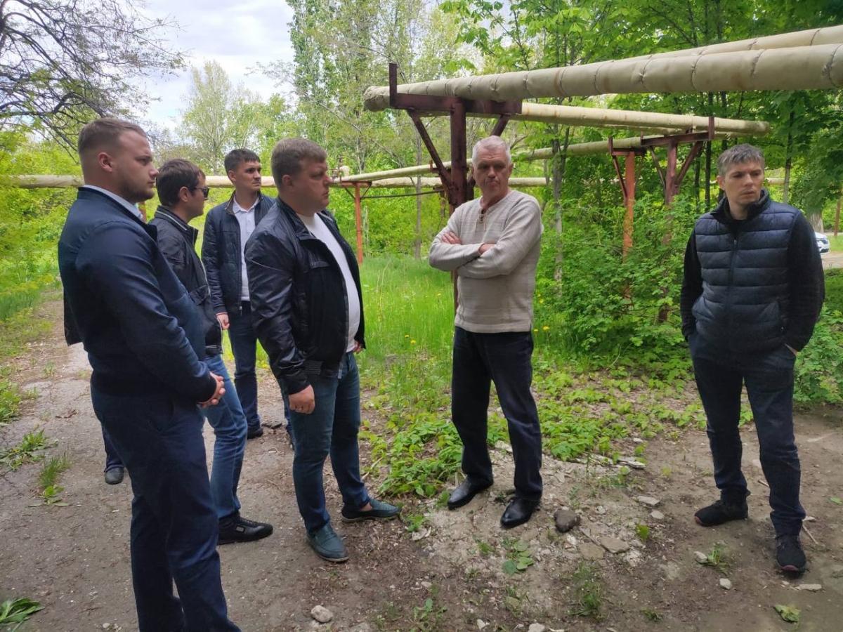 Глава Заводского района пообещал жителям отловить бродячих собак