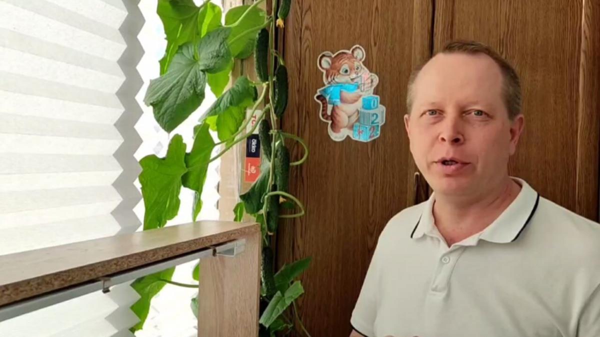 Саратовский депутат рассказал о выращивании огурцов на балконе