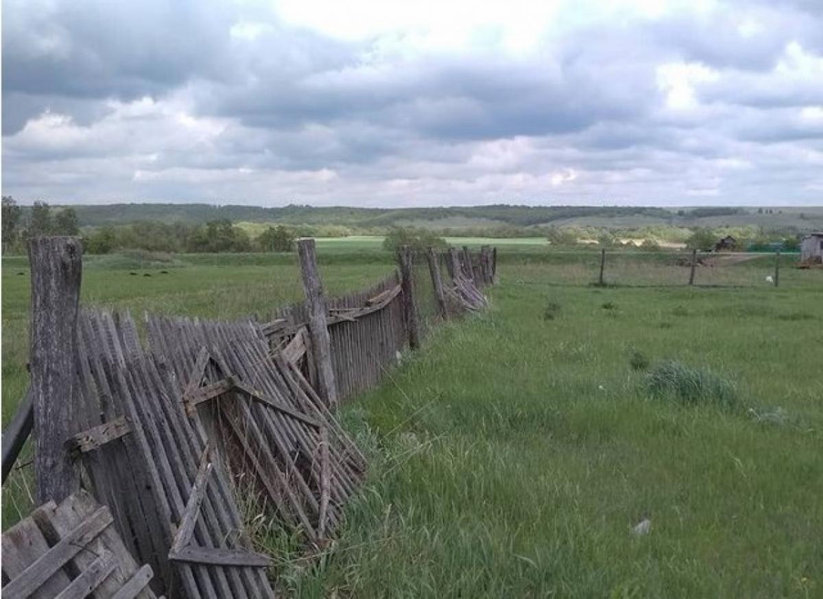 В Саратовском регионе обновят свыше двухсот километров сельских дорог за год