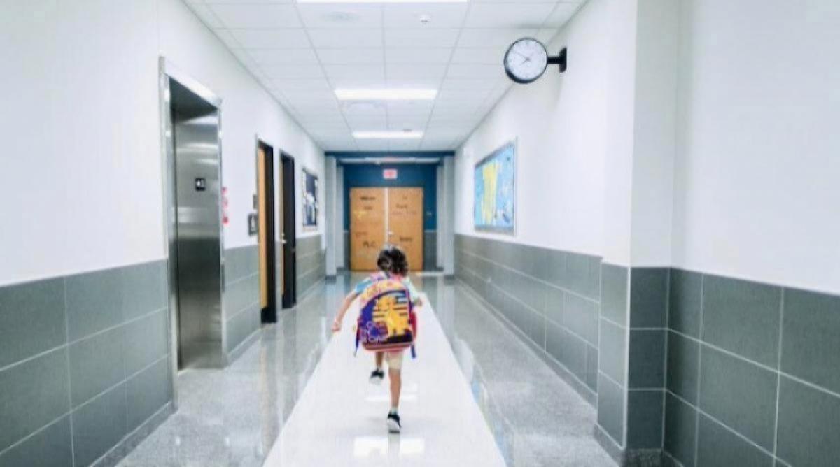 По кластерам разойтись: саратовские школы распределят по-новому к 2028 году 