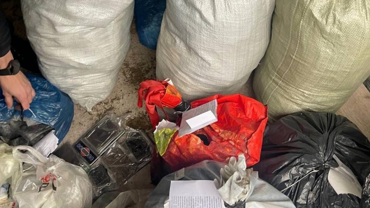 Росприроднадзор: в Саратове сожгли тонну кокаина и 307 кустов конопли