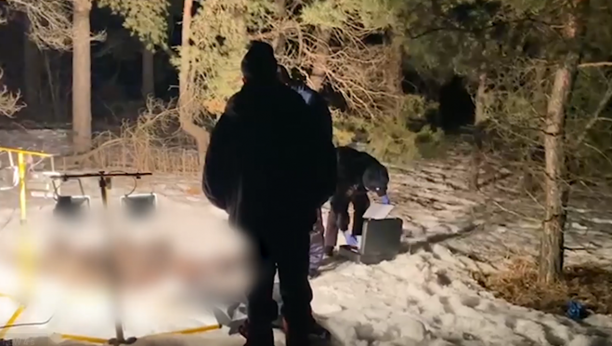 Саратовца забили до смерти и сожгли в посадках: подозреваемому предъявлено обвинение