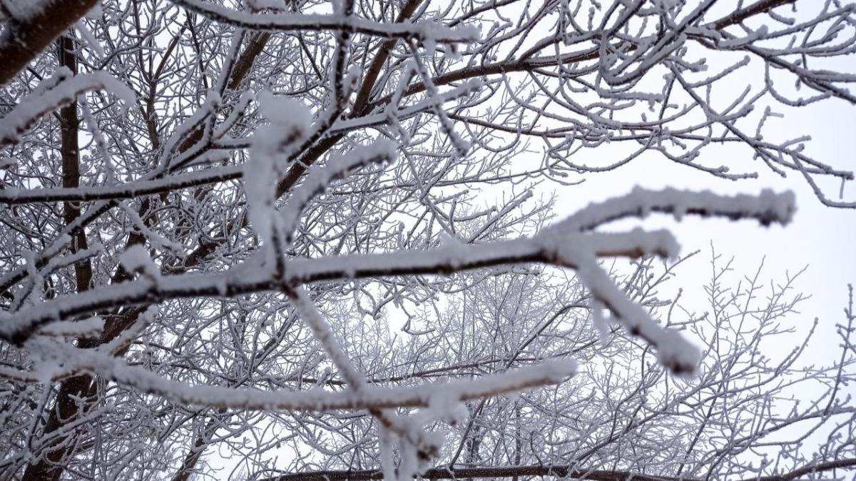 В Саратове за 135 миллионов рублей продают бывший профилакторий рядом с лесом