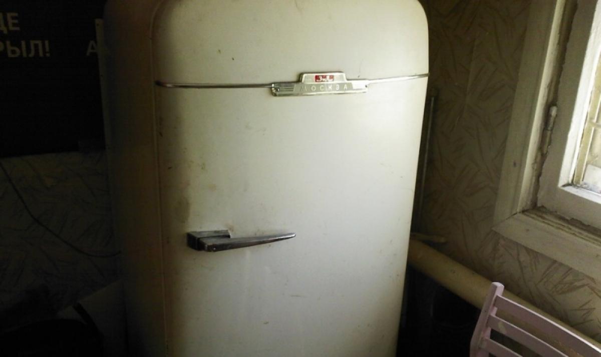 В Саратовской области 8-летний мальчик погиб в старом холодильнике