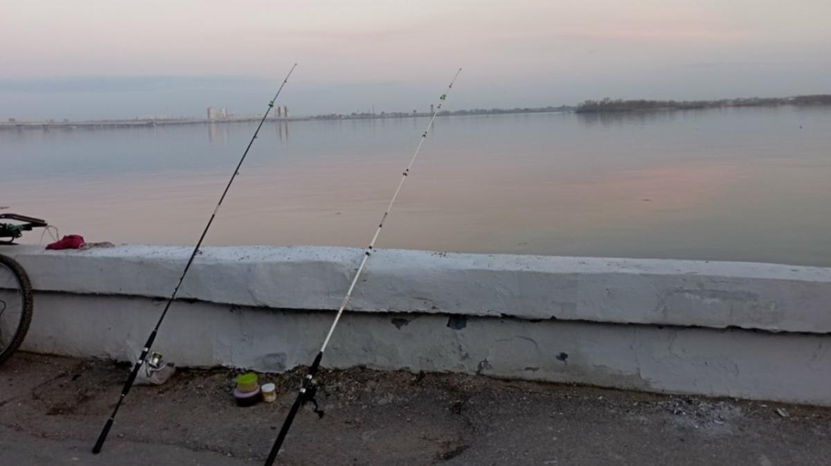 Саратовские рыбаки раскрыли секретные клевые места для лова красноперки и судака