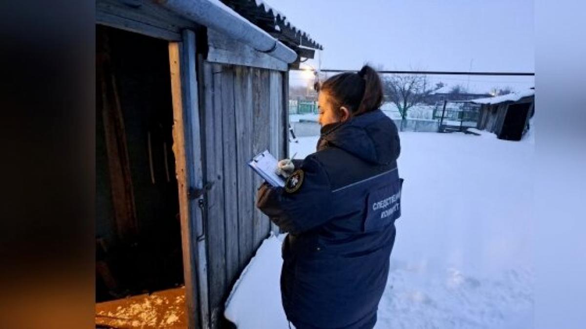 Сын нашел мертвой избитую мать в деревне под Саратовом