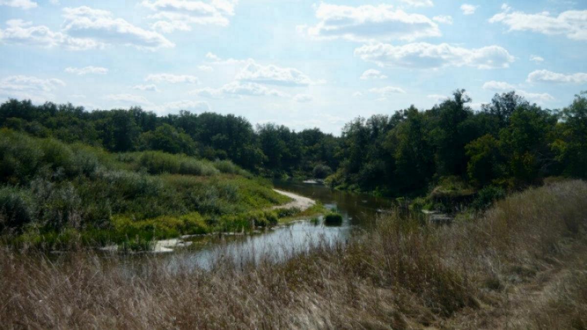 Саратовская область за 150 млн выкупила у «Газпрома» лагерь «Родничок»